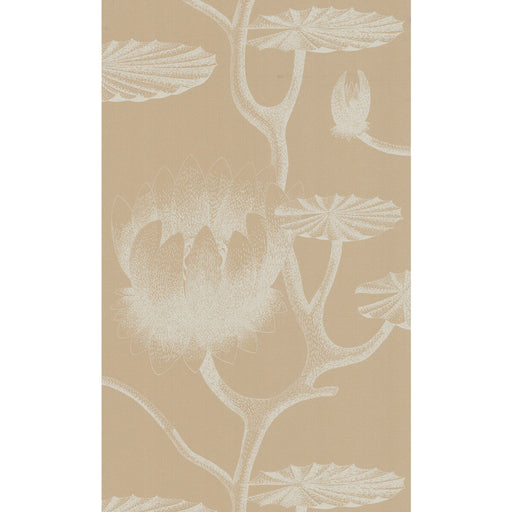 COLE & SON - LILY- IVORY/SAND - Wallcovering by the Roll IVORY/SAND