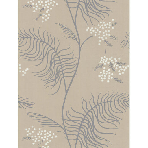 COLE & SON - MIMOSA- SANDSTONE - Wallcovering by the Roll SANDSTONE
