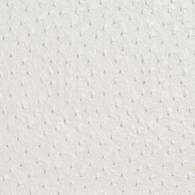 Charlotte - 7017 - Pearl - Fabric by the Yard Pearl
