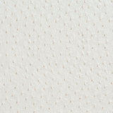 Charlotte - 7017 - Pearl - Fabric by the Yard