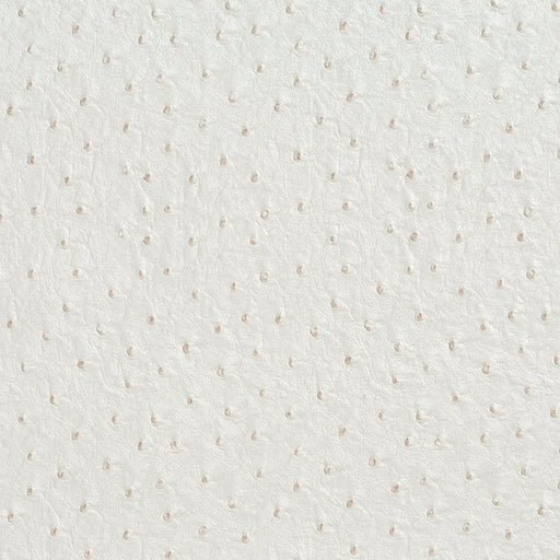 Charlotte - 7017 - Pearl - Fabric by the Yard Pearl