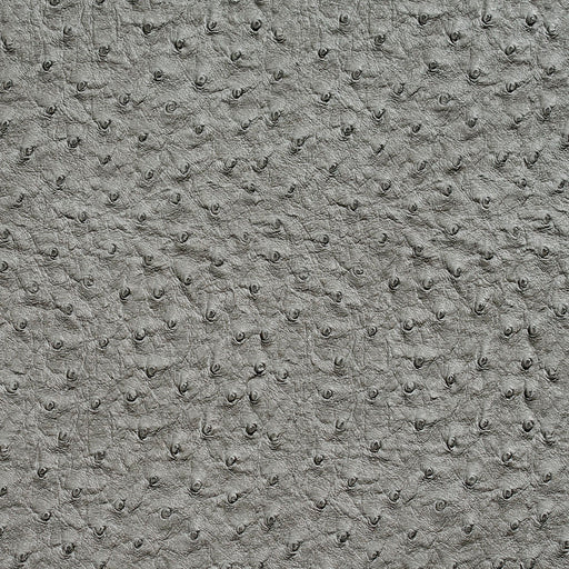 Charlotte - 7018 - Pewter - Fabric by the Yard Pewter