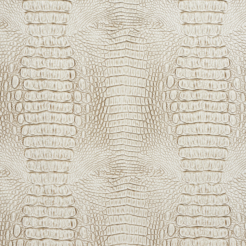 Charlotte - 7032 - Stone - Fabric by the Yard Stone