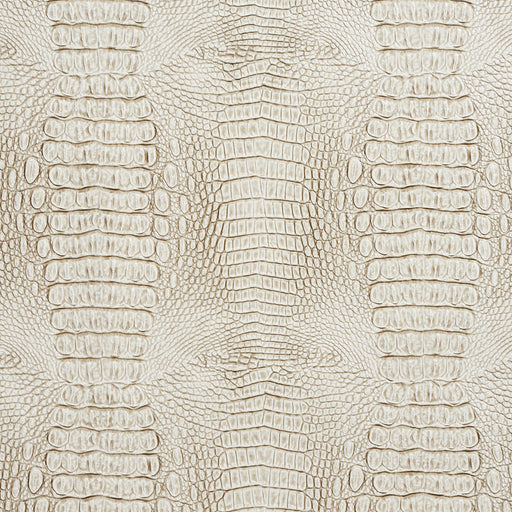 Charlotte - 7032 - Stone - Fabric by the Yard Stone