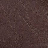 Charlotte - 7056 - Briarwood - Fabric by the Yard