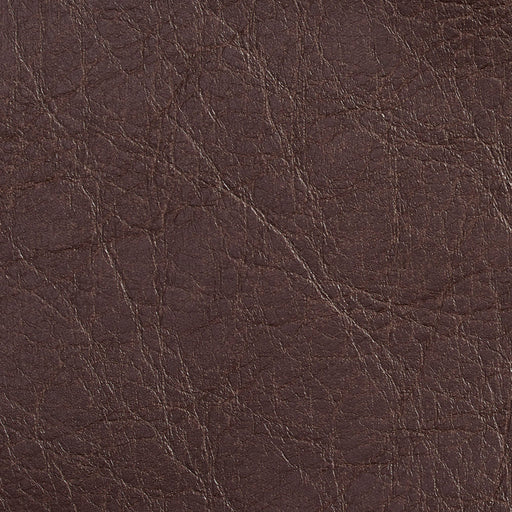 Charlotte - 7056 - Briarwood - Fabric by the Yard Briarwood