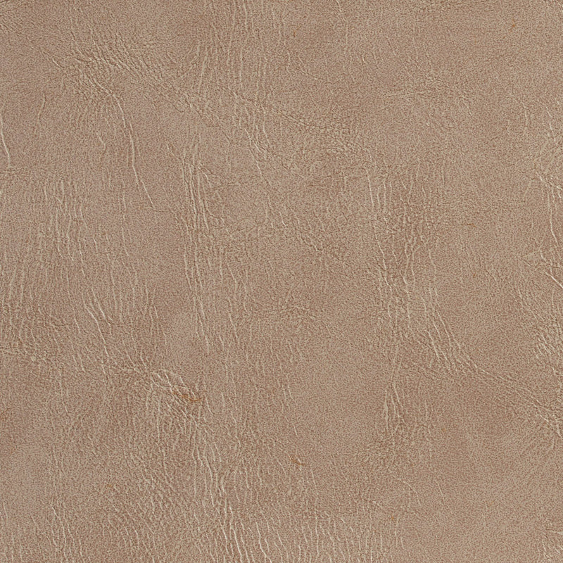 Charlotte - 7068 - Taupe - Fabric by the Yard Taupe