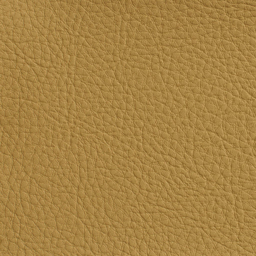 Charlotte - 7170 - Wheat - Fabric by the Yard Wheat