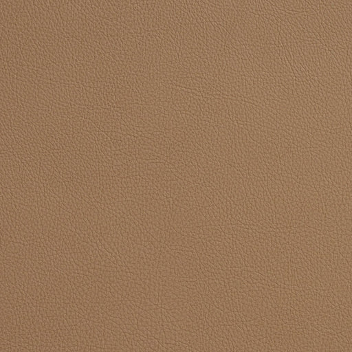 Charlotte - 7171 - Sandalwood - Fabric by the Yard Sandalwood