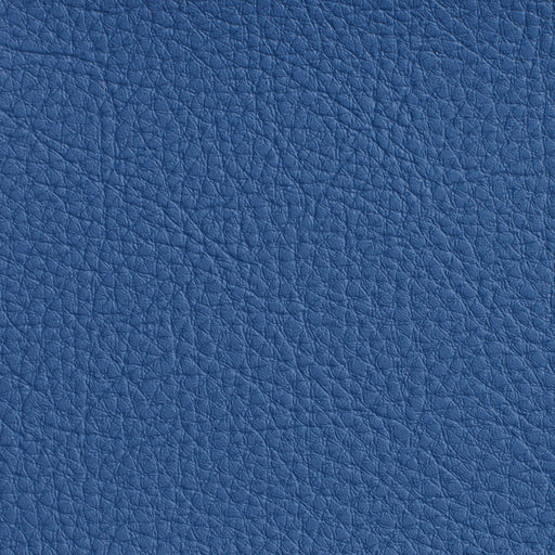 Charlotte - 7172 - Wedgewood - Fabric by the Yard Wedgewood