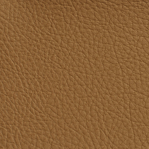 Charlotte - 7173 - Palomino - Fabric by the Yard Palomino