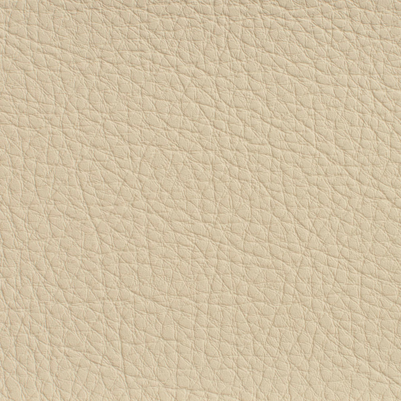 Charlotte - 7175 - Ivory - Fabric by the Yard Ivory