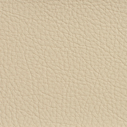 Charlotte - 7175 - Ivory - Fabric by the Yard Ivory