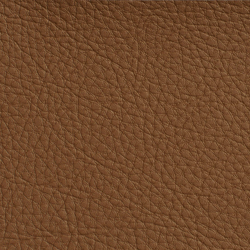 Charlotte - 7176 - Rawhide - Fabric by the Yard Rawhide