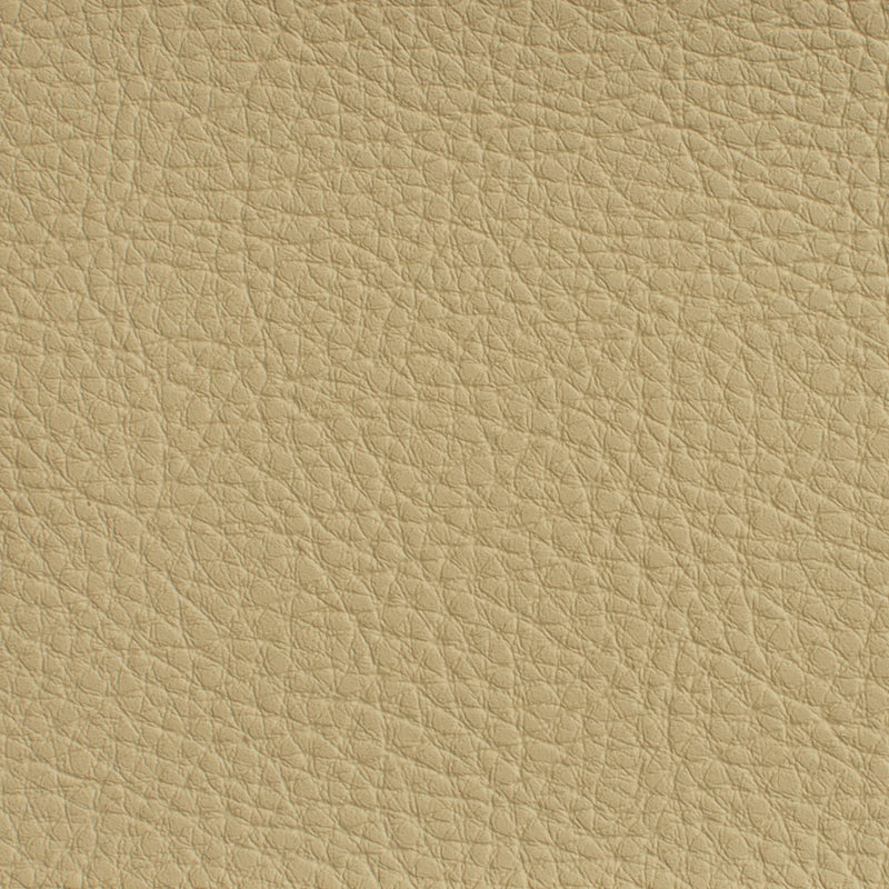 Charlotte - 7177 - Cream - Fabric by the Yard Cream