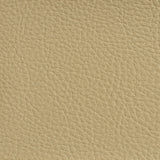 Charlotte - 7177 - Cream - Fabric by the Yard
