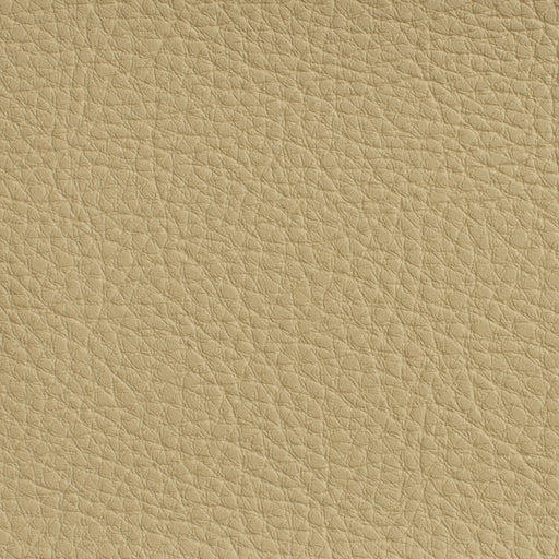Charlotte - 7177 - Cream - Fabric by the Yard Cream