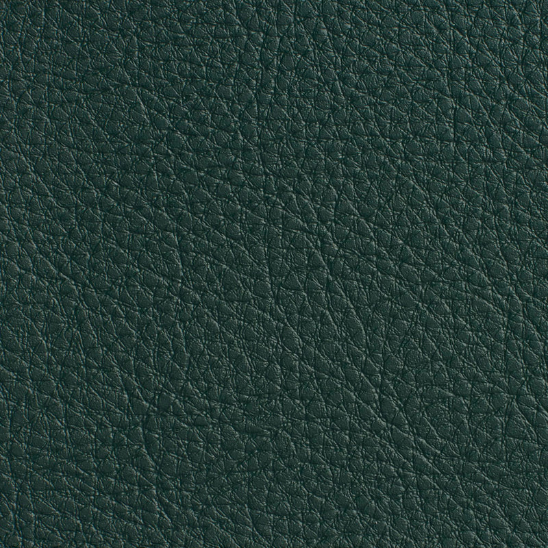 Charlotte - 7178 - Hunter - Fabric by the Yard Hunter