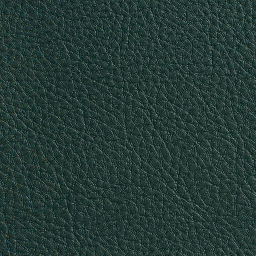 Charlotte - 7178 - Hunter - Fabric by the Yard Hunter