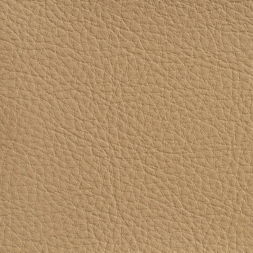 Charlotte - 7179 - Sand - Fabric by the Yard Sand