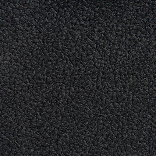 Charlotte - 7180 - Black - Fabric by the Yard Black