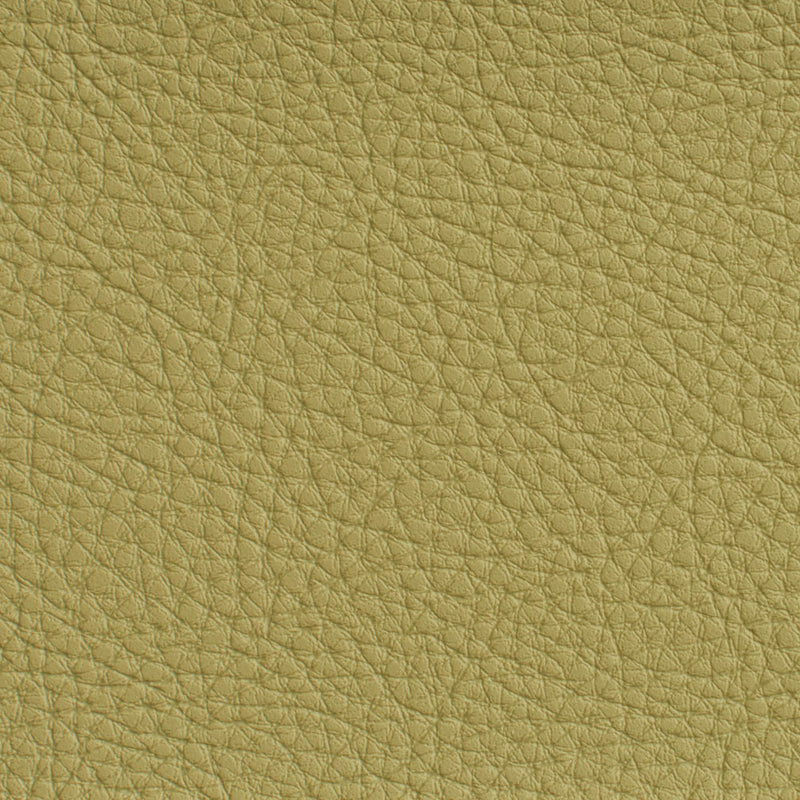 Charlotte - 7181 - Pesto - Fabric by the Yard Pesto