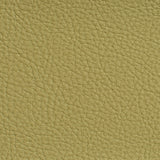 Charlotte - 7181 - Pesto - Fabric by the Yard