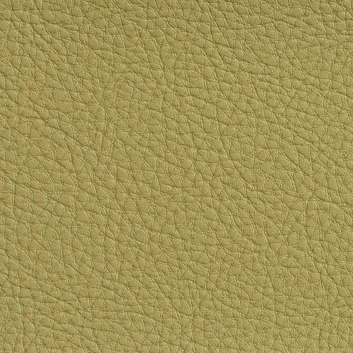 Charlotte - 7181 - Pesto - Fabric by the Yard Pesto