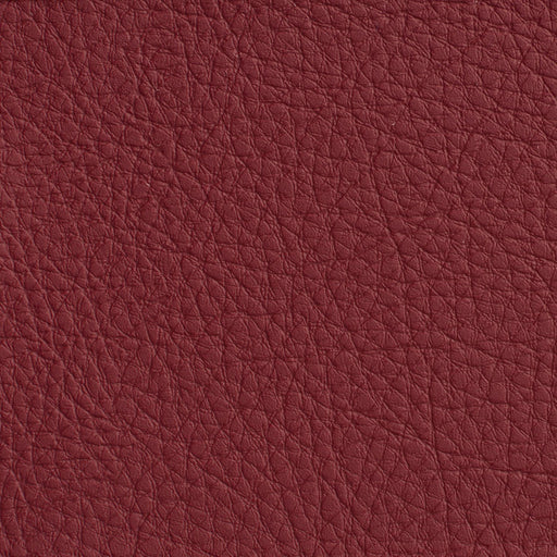 Charlotte - 7182 - Wine - Fabric by the Yard Wine