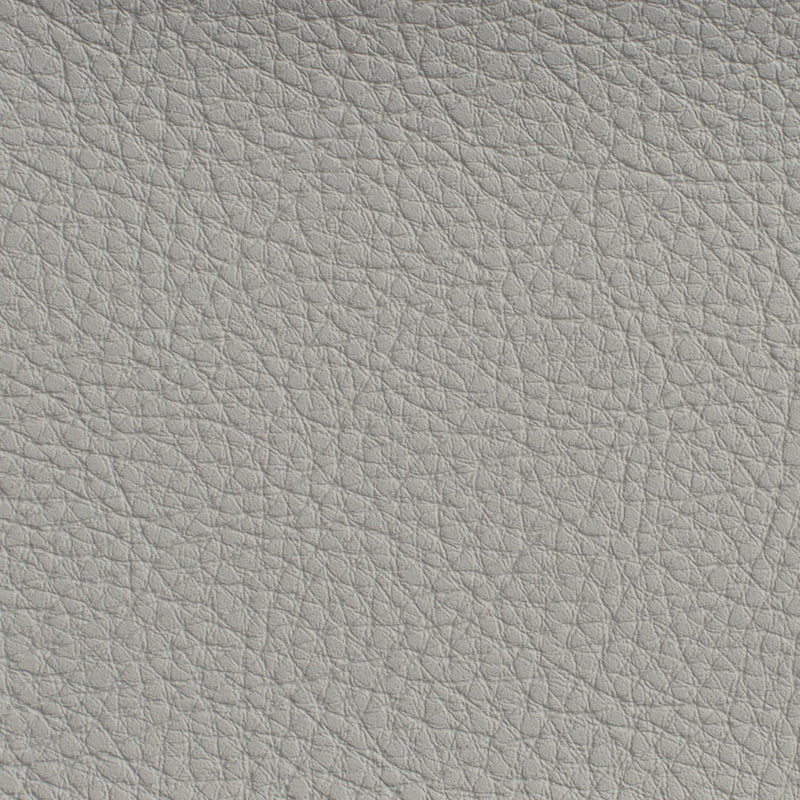 Charlotte - 7183 - Sterling - Fabric by the Yard Sterling