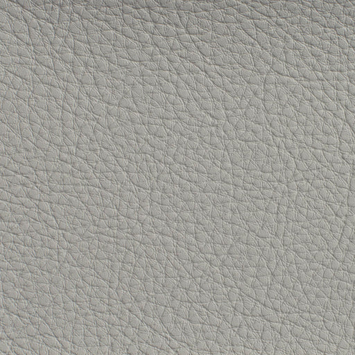 Charlotte - 7183 - Sterling - Fabric by the Yard Sterling