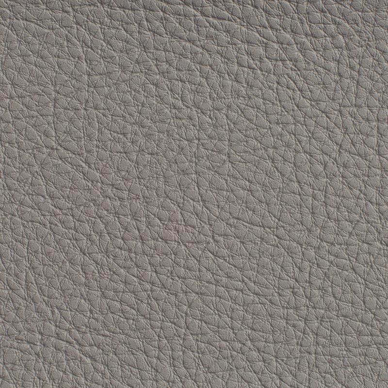 Charlotte - 7185 - Pewter - Fabric by the Yard Pewter