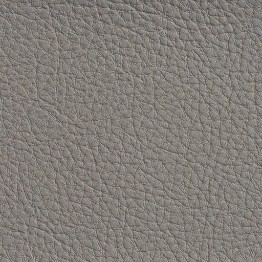 Charlotte - 7185 - Pewter - Fabric by the Yard Pewter