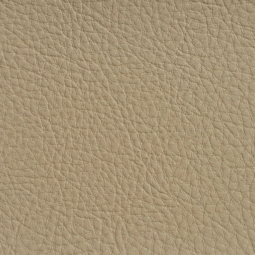 Charlotte - 7187 - Buff - Fabric by the Yard Buff