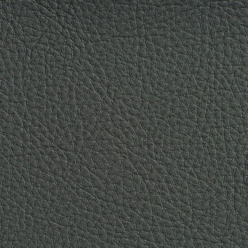 Charlotte - 7188 - Coal - Fabric by the Yard Coal