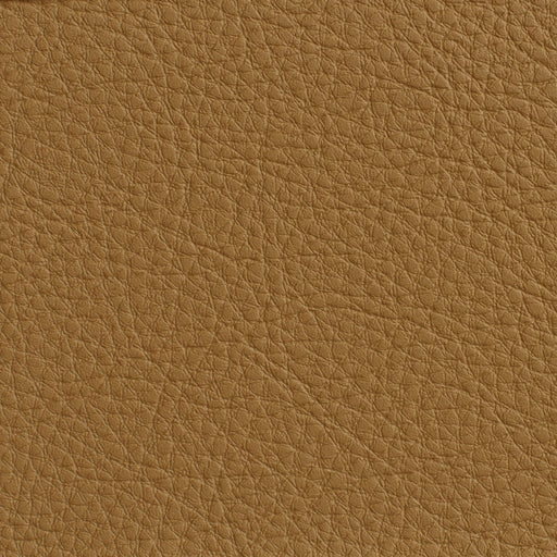 Charlotte - 7189 - Tan - Fabric by the Yard Tan