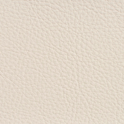 Charlotte - 7190 - Natural - Fabric by the Yard Natural