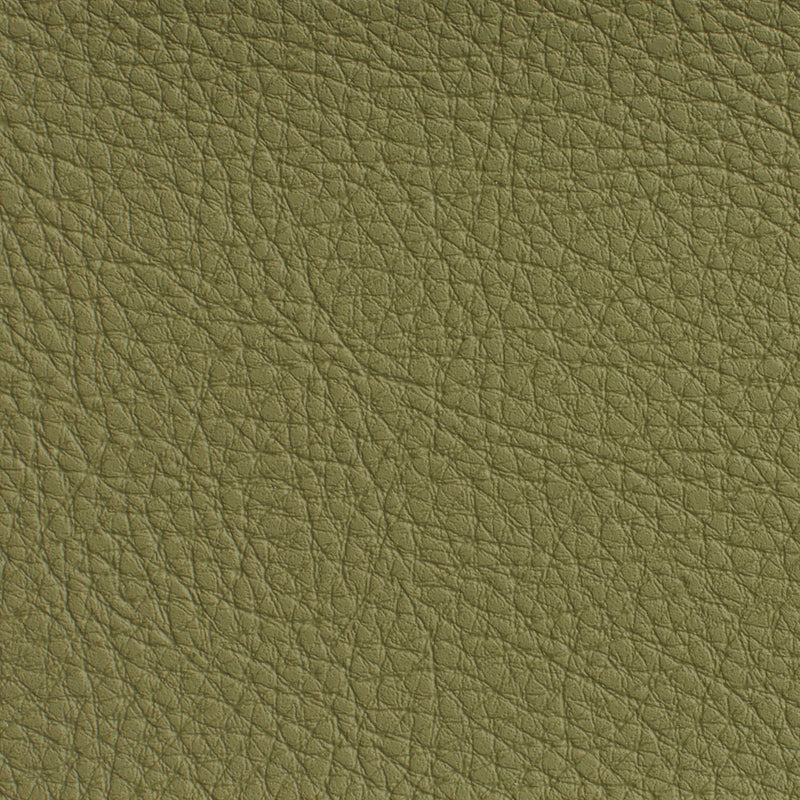 Charlotte - 7191 - Sage - Fabric by the Yard Sage