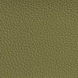 Charlotte - 7191 - Sage - Fabric by the Yard