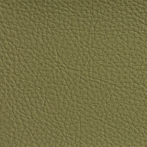 Charlotte - 7191 - Sage - Fabric by the Yard Sage