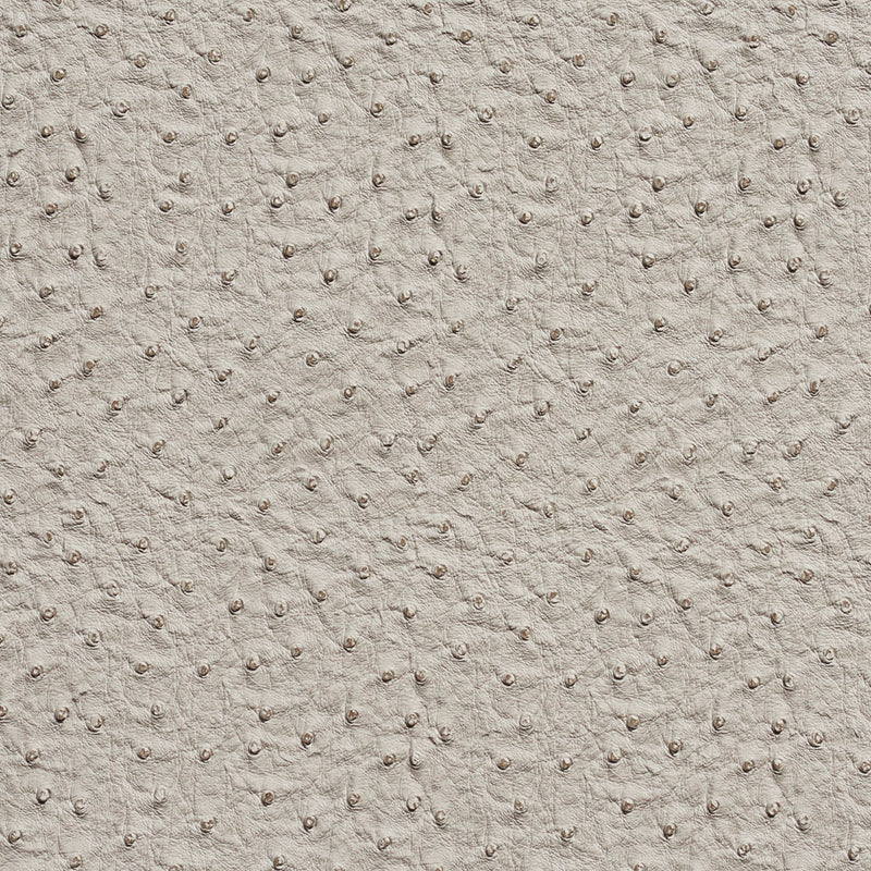 Charlotte - 7233 - Fog - Fabric by the Yard Fog
