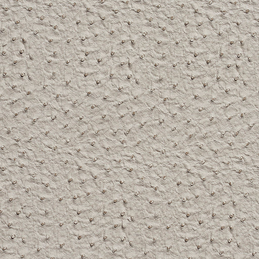 Charlotte - 7233 - Fog - Fabric by the Yard Fog