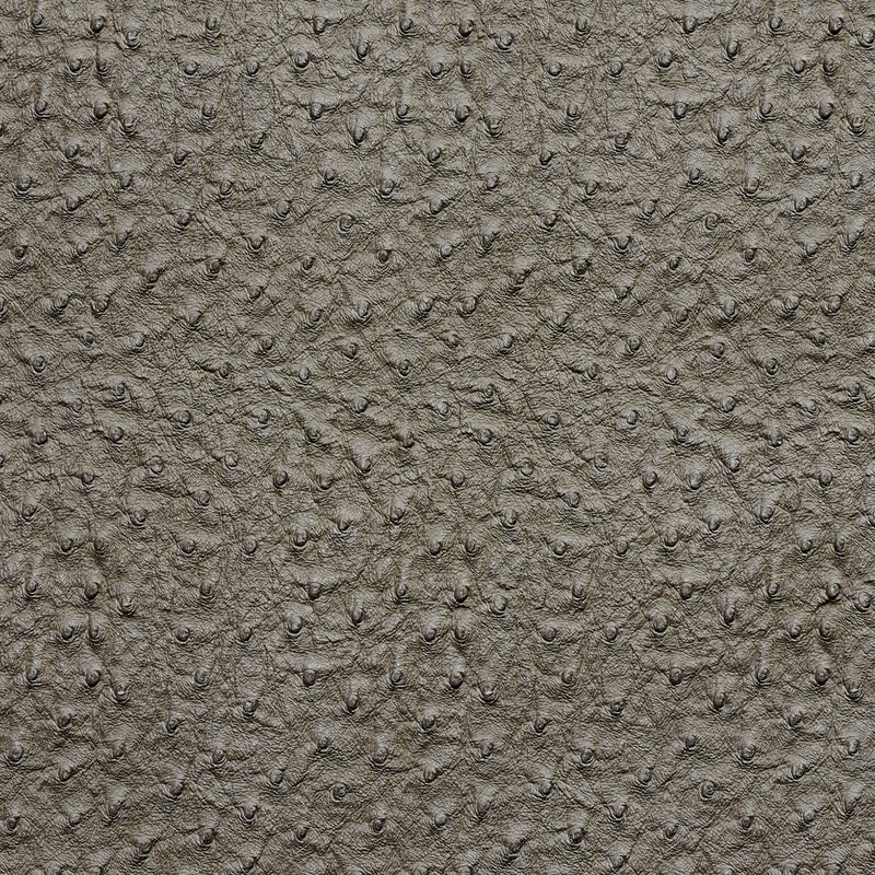 Charlotte - 7273 - Pewter - Fabric by the Yard Pewter
