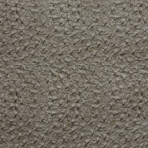 Charlotte - 7273 - Pewter - Fabric by the Yard Pewter