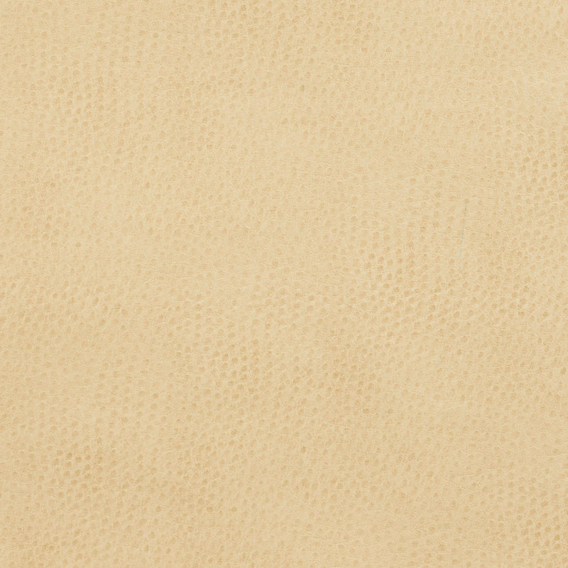 Charlotte - 7277 - Parchment - Fabric by the Yard Parchment