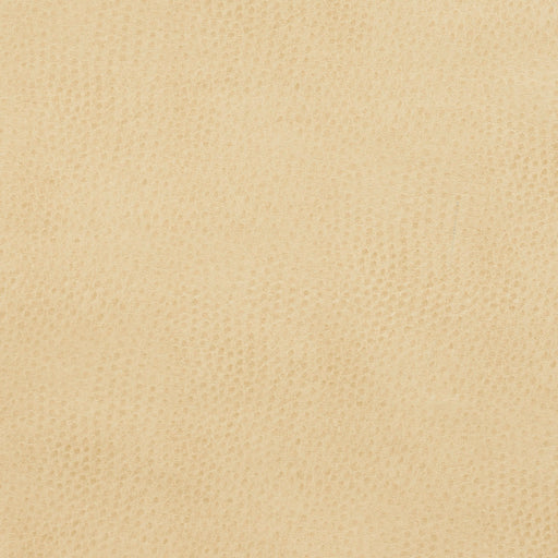 Charlotte - 7277 - Parchment - Fabric by the Yard Parchment