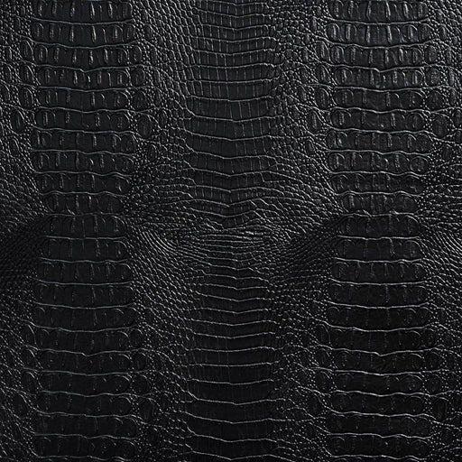 Charlotte - 7279 - Black - Fabric by the Yard Black