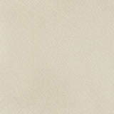 Charlotte - 7343 - Champagne - Fabric by the Yard