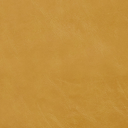 Charlotte - 7404 - Saffron - Fabric by the Yard Saffron