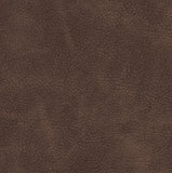 Charlotte - 7412 - Chocolate - Fabric by the Yard